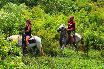 Horse Back Tour- $80 - Roatán Personalized Tours™